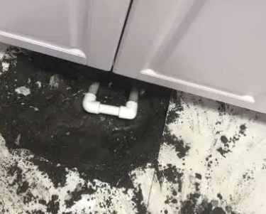 巧家查漏水哪家好